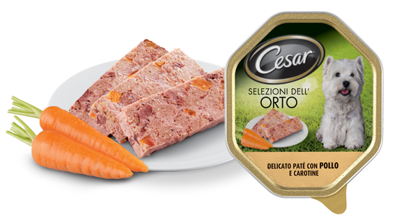 CESAR POLLO-CAROTINE GR.150